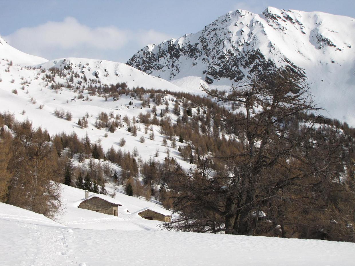 I camosci tornano a correre